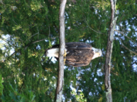 img_5062.jpg
